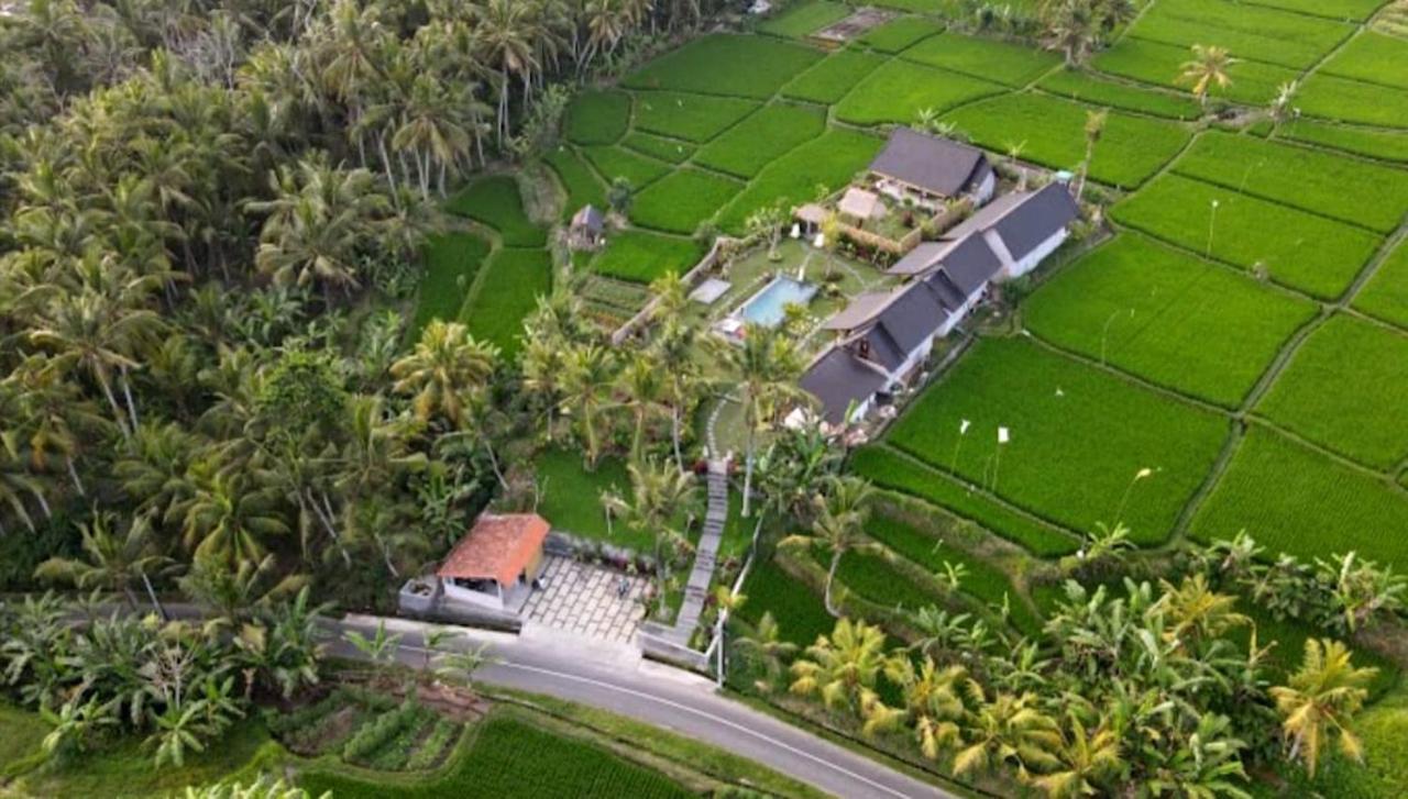 Coconut * Ubud (Bali)