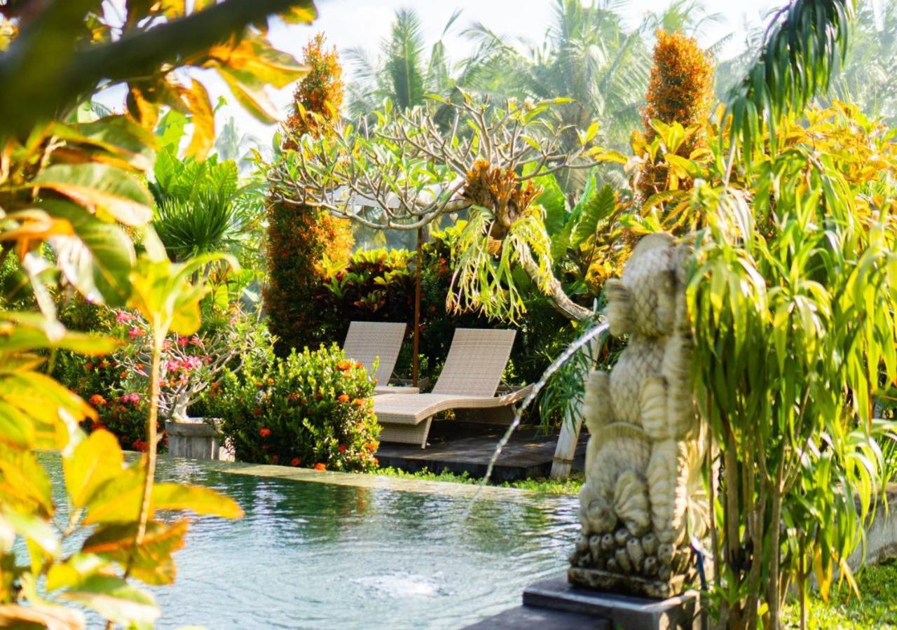 Guest house Coconut