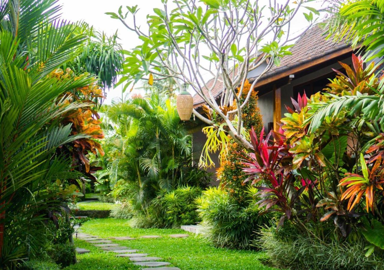 Coconut * Ubud (Bali)