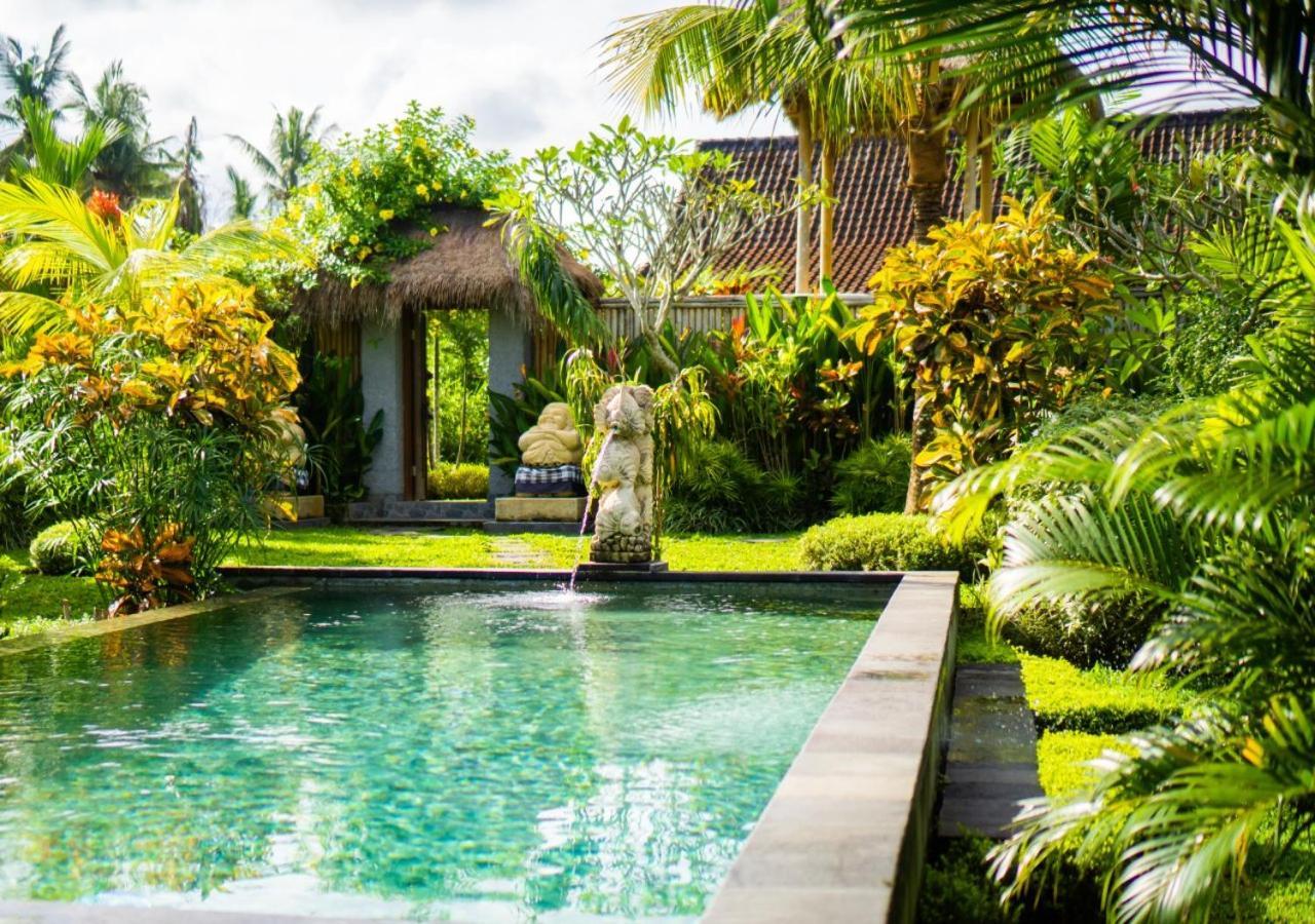 Coconut Guest house *