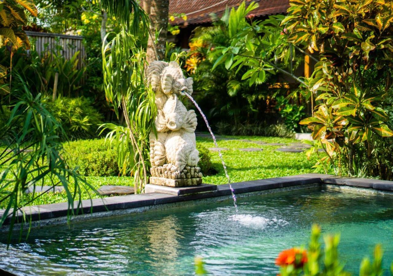 Coconut Guest house *
