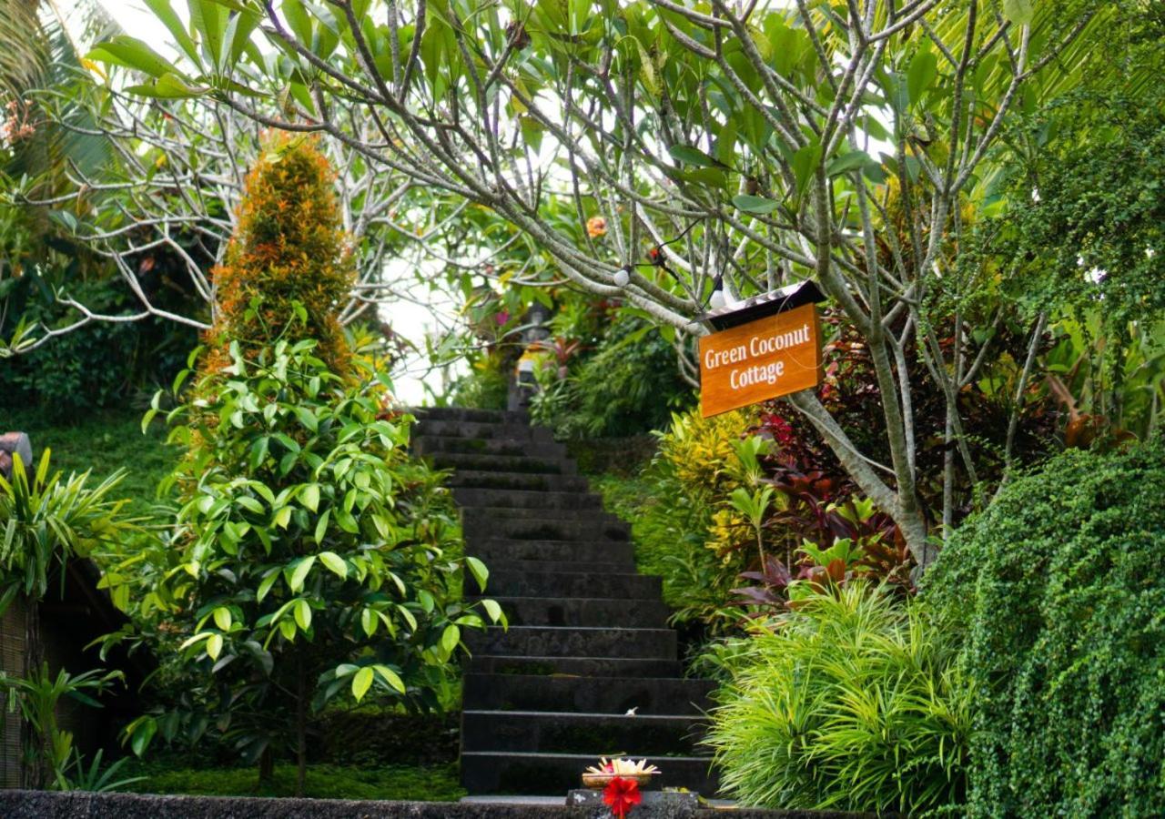 Coconut Guest house Ubud (Bali)