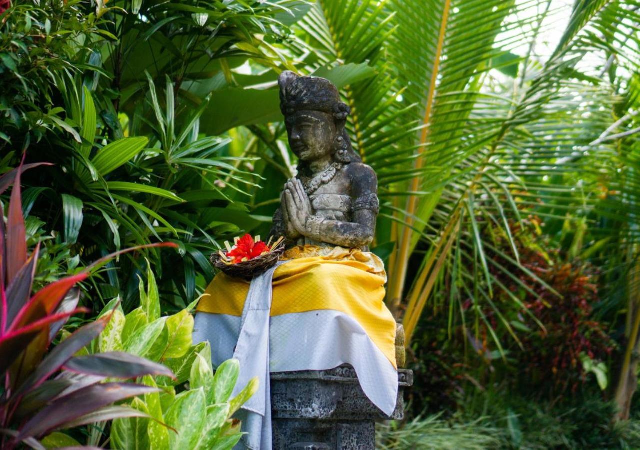 Guest house Coconut Ubud (Bali)