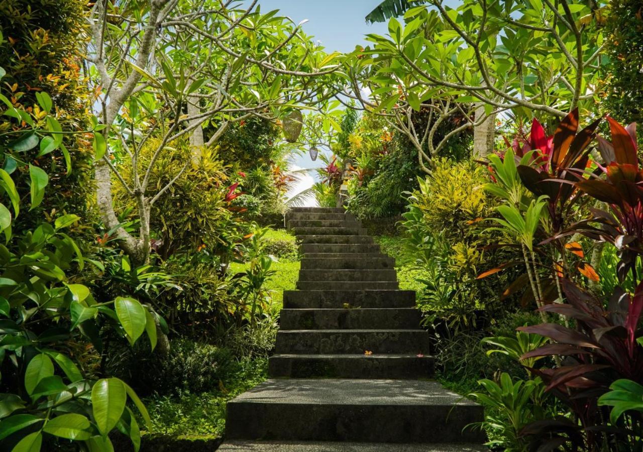 Coconut Guest house *
