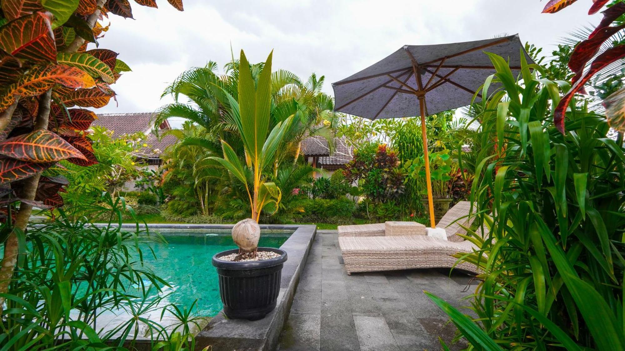 Coconut * Ubud (Bali)