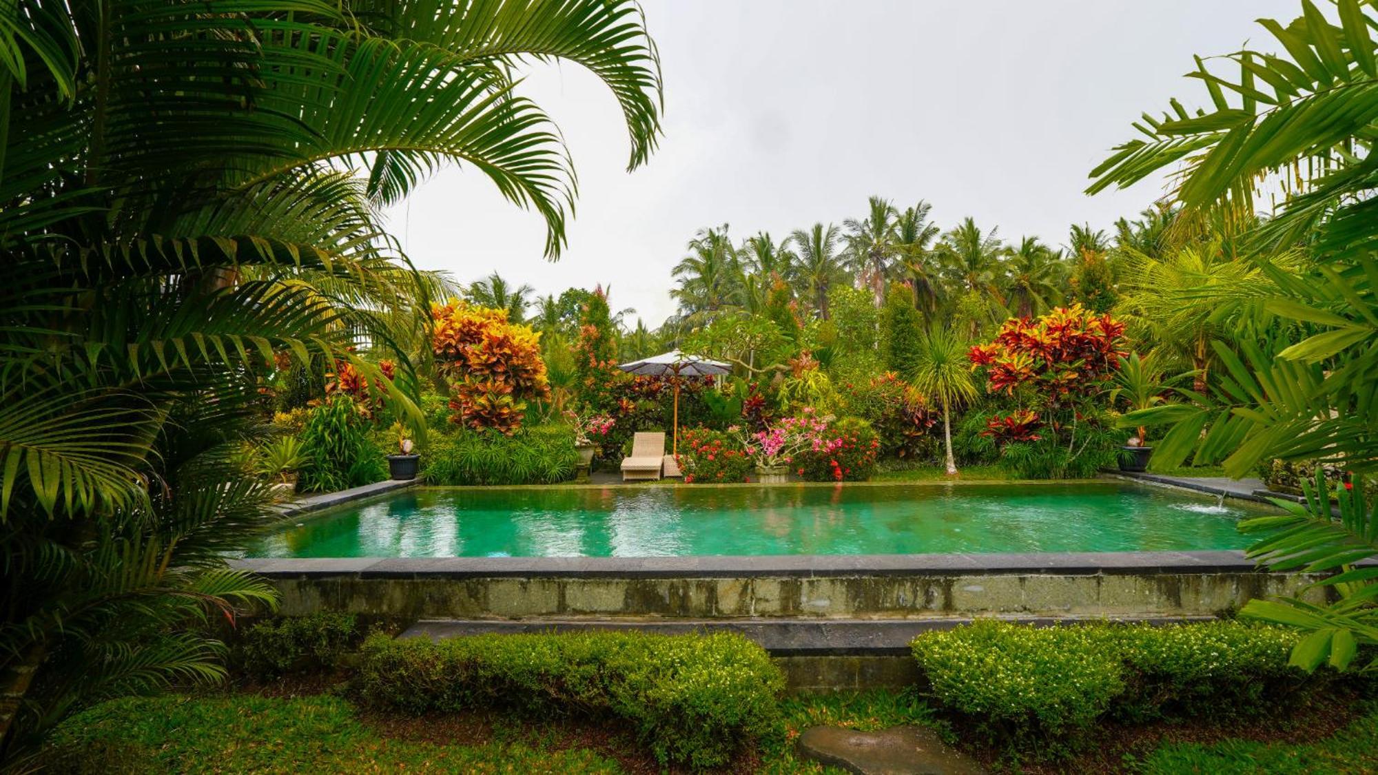 Coconut Guest house