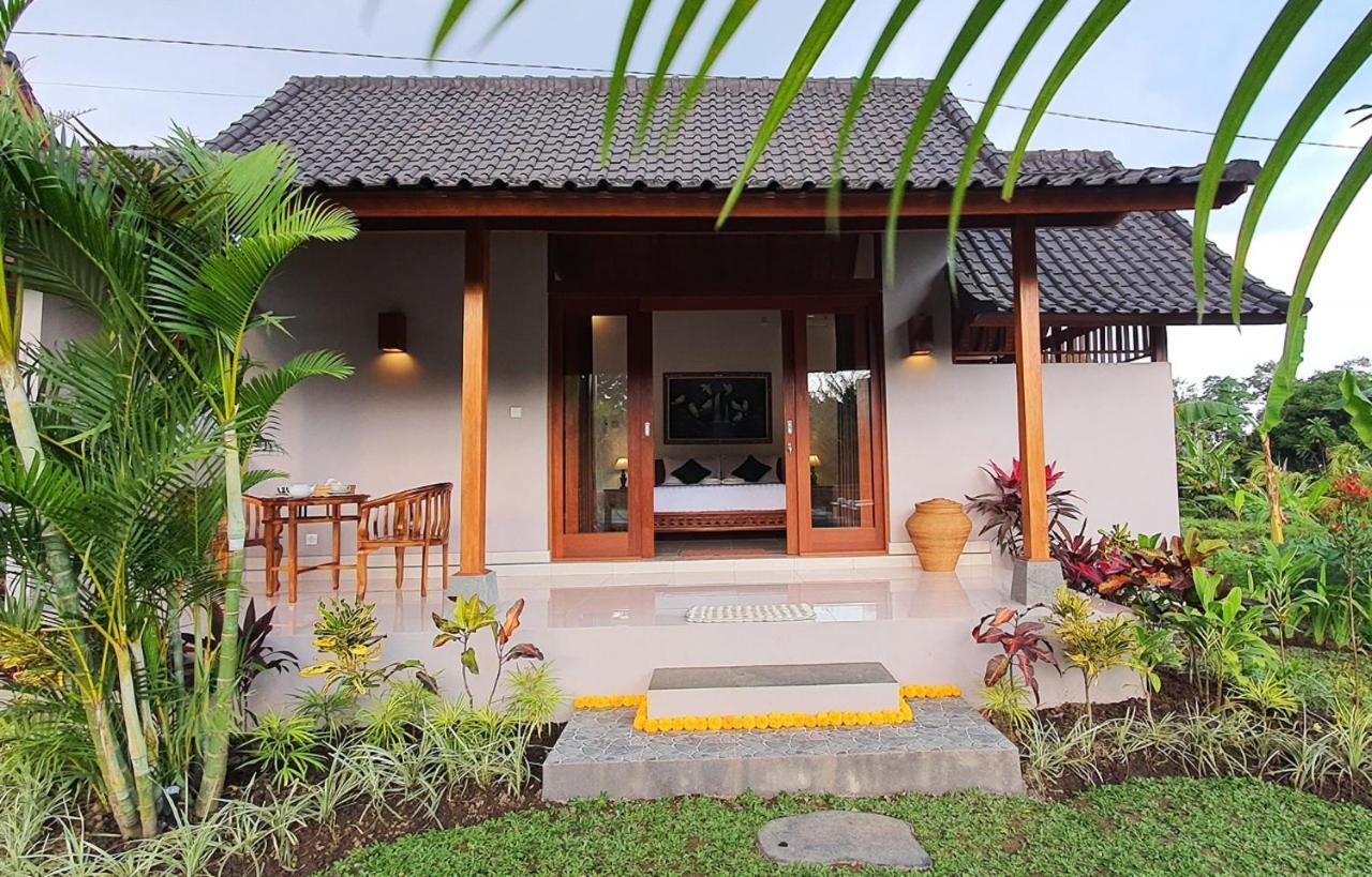 Coconut Casa de hóspedes