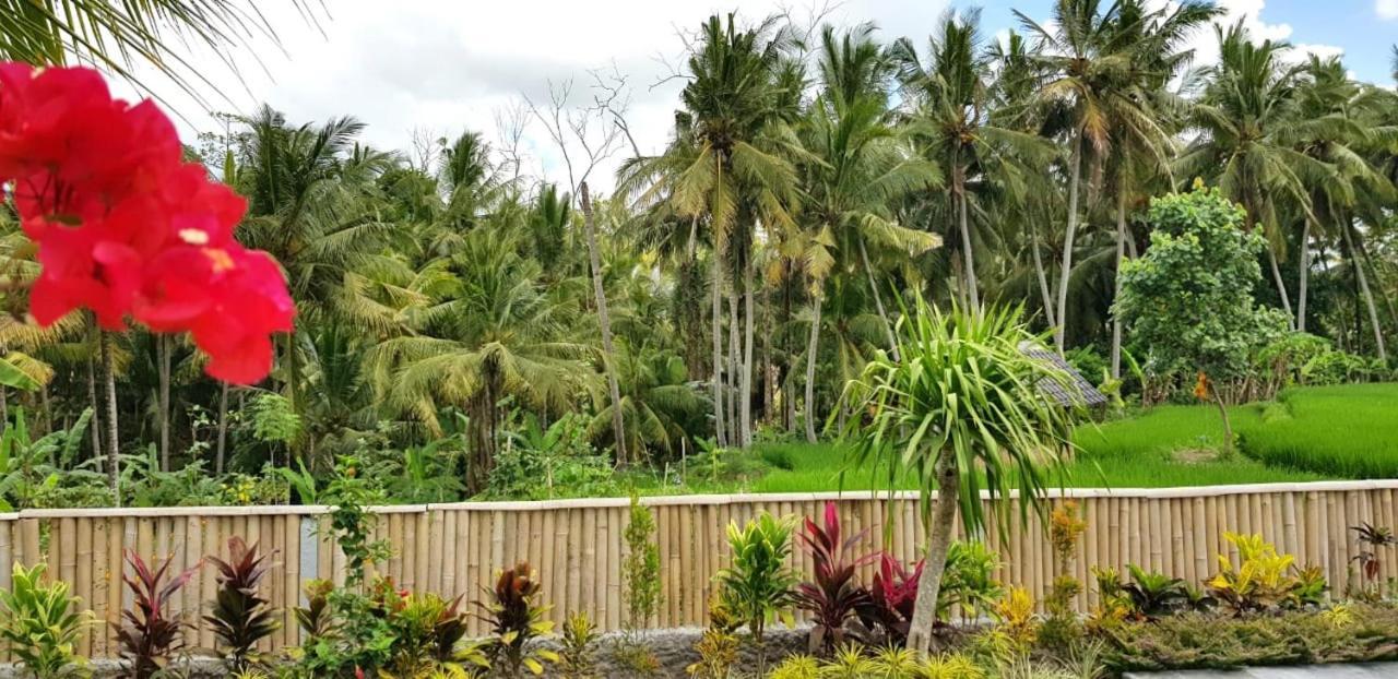 Casa de hóspedes Coconut Ubud