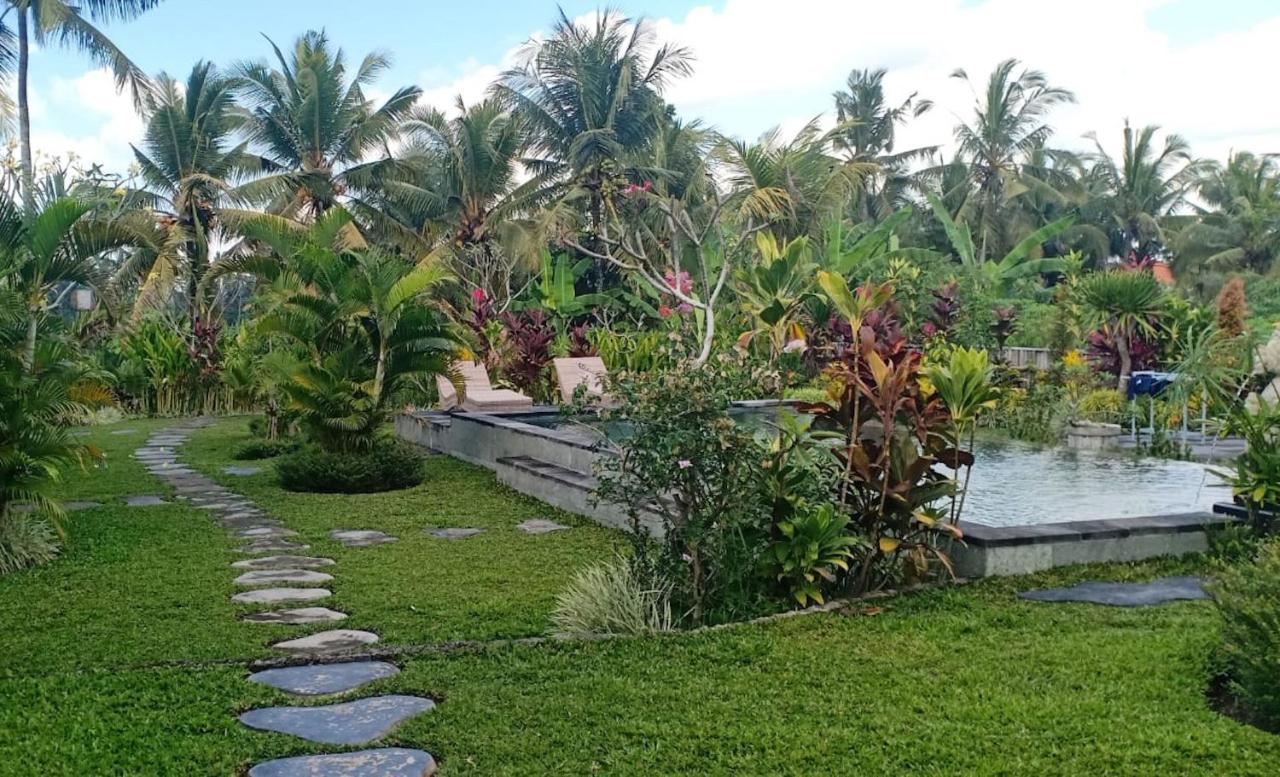 Coconut Casa de hóspedes