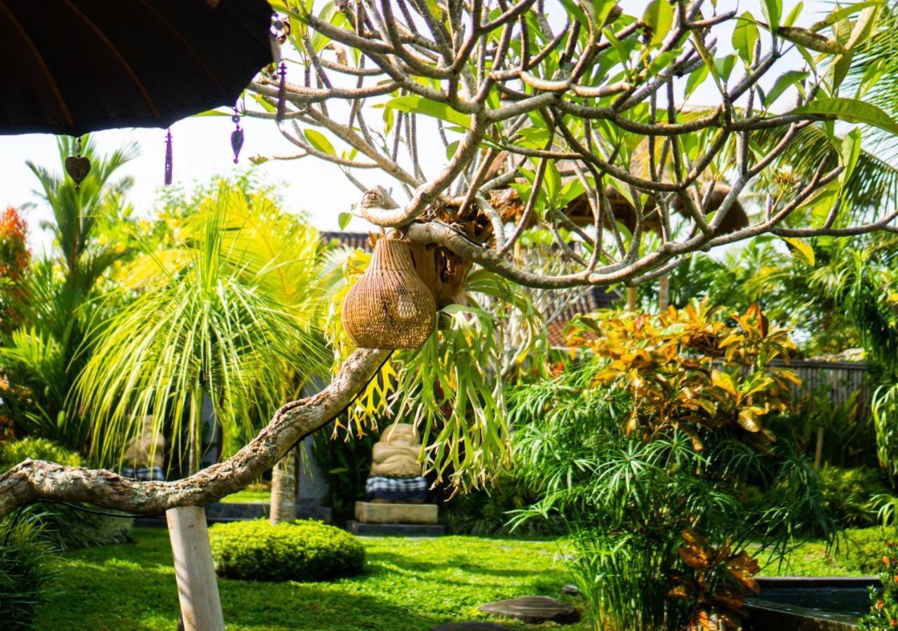 Coconut Casa de hóspedes