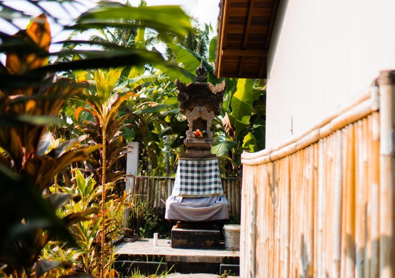 Coconut Casa de hóspedes