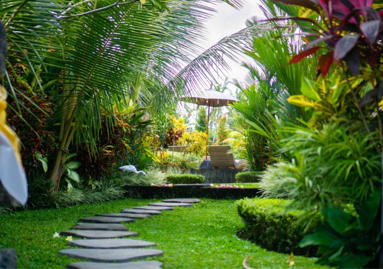 Casa de hóspedes Coconut *