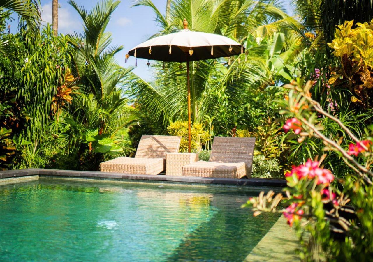 Casa de hóspedes Coconut *
