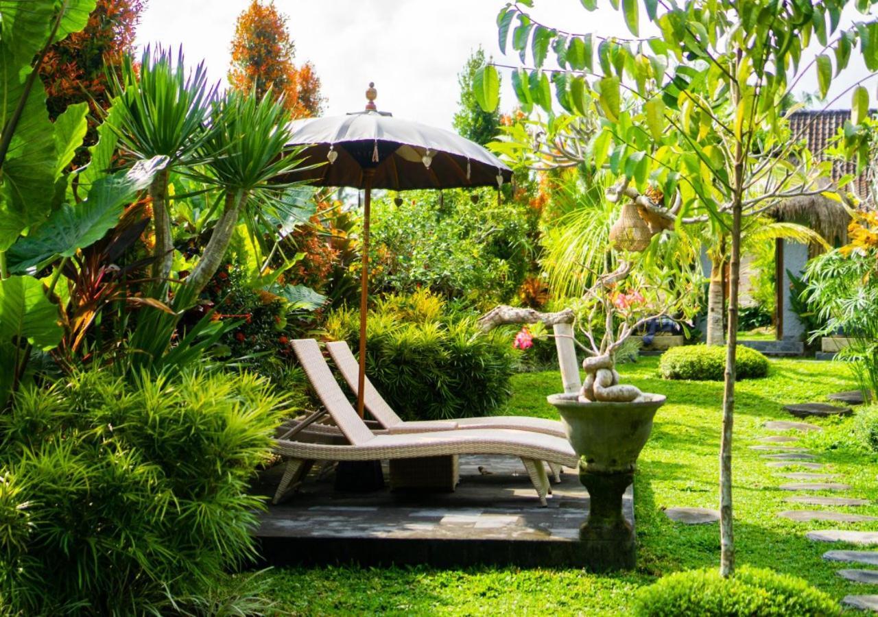 Coconut Casa de hóspedes
