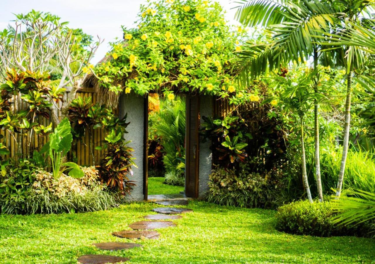 Casa de hóspedes Coconut *